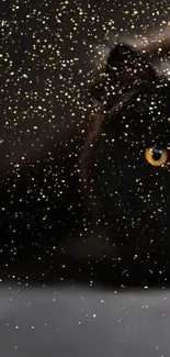 Black cat with yellow eyes on a dark mobile wallpaper background.