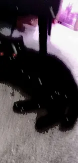 Eerie black cat with glowing eyes and dark background for mobile wallpaper.