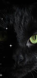 Mysterious black cat with vibrant green eyes on a dark background.