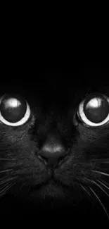 Mysterious black cat with big eyes in dark mobile wallpaper.