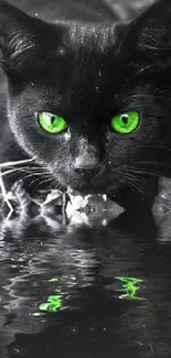 Black cat with green eyes in water reflection wallpaper.