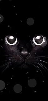 Black cat with striking eyes on a dark background.