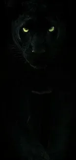 Mysterious black panther with glowing green eyes in the darkness.