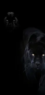 Black panther wallpaper with glowing eyes.