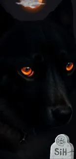 Black wolf with glowing orange eyes on a dark background.