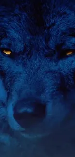 Blue wolf with glowing yellow eyes, creating a mysterious vibe.