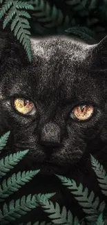 Black cat peering through lush green ferns.