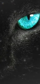 Close-up of cat's teal eye against a dark background for mobile wallpaper.