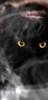 Mysterious cat eyes peer through swirling mist in a dark wallpaper.