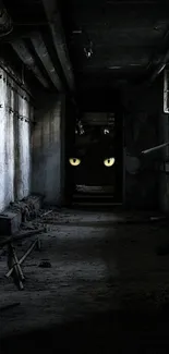 Dark hallway with mysterious glowing cat eyes.