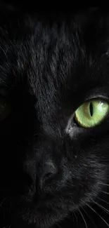 Black cat with vivid green eyes, creating a mysterious mobile wallpaper.