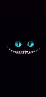 Mystical teal cat eyes and grin on a dark background.