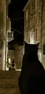 Silhouette of a cat in a dark, rustic alleyway at night.