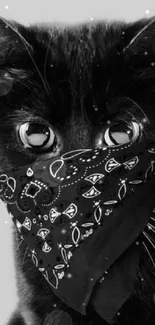 Black cat wearing a bandana in a stylish portrait.