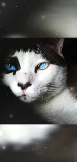 Cat with striking blue eyes in a dark, ethereal setting.