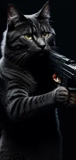 A mysterious black cat holding a gun, set against a dark background.