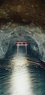 Mysterious cave with a red Torii gate and ambient light reflections.