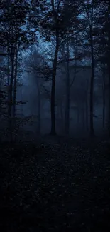 Dark forest in deep blue tones, mysterious night atmosphere.