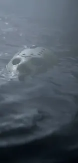 A mask floating on dark, misty waters, creating an eerie atmosphere.