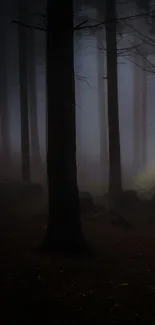 Foggy forest path leading to a cabin with a yellow light glowing.