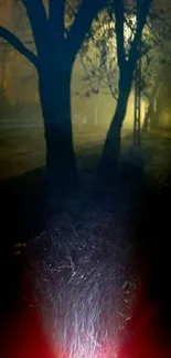 Mysterious foggy path with eerie lighting in nighttime setting.