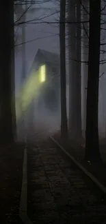 Mysterious forest with a lit cabin amidst fog at night.