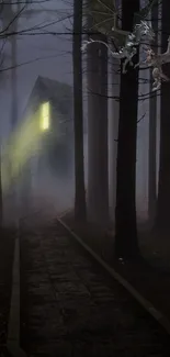 Mysterious forest with glowing house and dragons in mist.