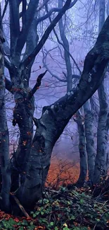 Foggy forest with deep blue trees and green foliage.