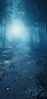 Mysterious forest path at night with moonlight and tall trees.