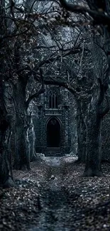 Pathway through dark gothic forest with stone archway.