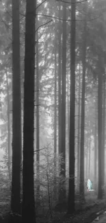 Mysterious foggy forest with tall trees and a serene pathway.