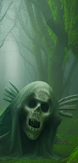 Skull in a misty green forest wallpaper.