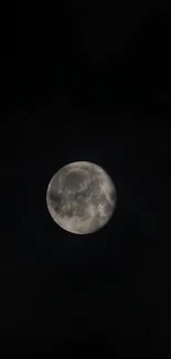 Full moon shines brightly against a dark night sky.