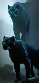 Two black panthers with glowing eyes in a mystical jungle setting.