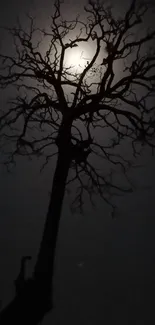 Silhouette of a tree under moonlight in a dark night sky.