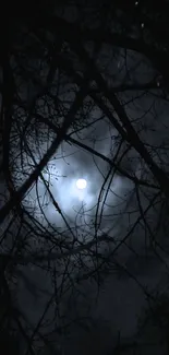 Full moon through dark, silhouetted branches.