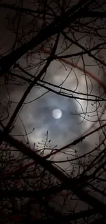 Silhouetted branches encircle a glowing moon.