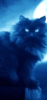 Mystical dark cat sitting under a full moon in deep blue hues.