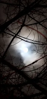 Silhouetted branches against moonlit cloudy sky.