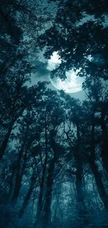 Moonlit forest at night with dark trees and a glowing moon.