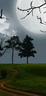 Mysterious landscape with a full moon and silhouetted trees.