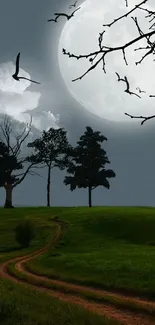 Moonlit landscape with silhouetted trees and a winding path.