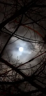 Mysterious moon behind silhouetted branches on a dark night.