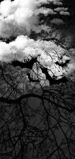 Silhouetted bats flying against cloudy night sky wallpaper.