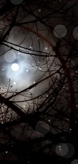 Mysterious moon behind tree branches at night.