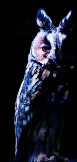 Detailed night owl on dark blue background.