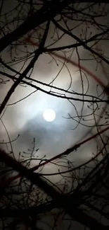 A mysterious night sky with silhouetted branches and a glowing moon.