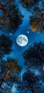 Night sky with moon and trees framing the view.