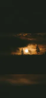 Dark night sky with full moon and tree silhouettes.