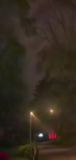 Atmospheric nighttime street with mist.